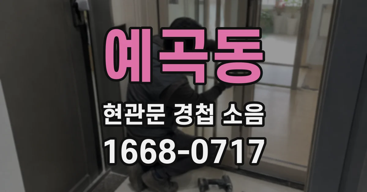 예곡동 현관문 경첩 소음