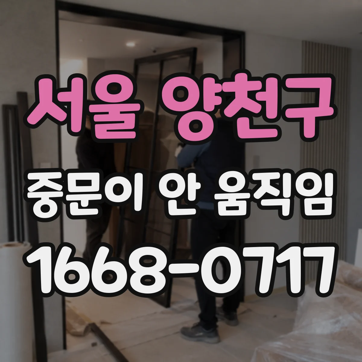 서울 양천구 중문이 안 움직임