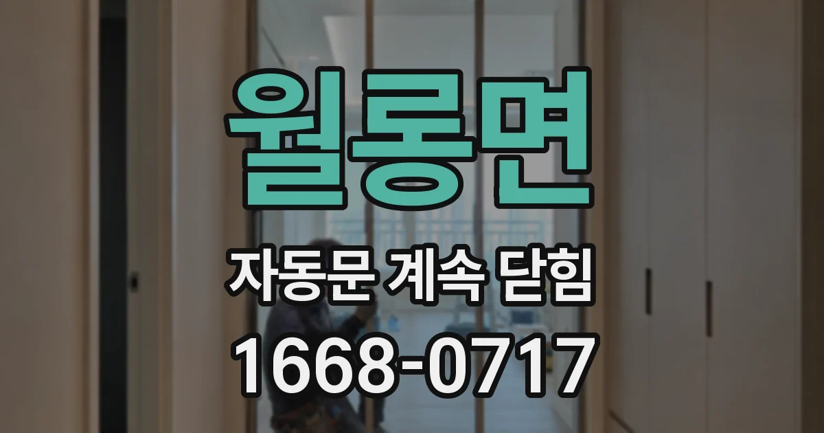 월롱면 자동문 계속 닫힘