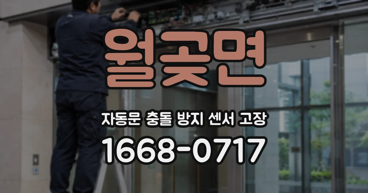 월곶면 자동문 충돌 방지 센서 고장