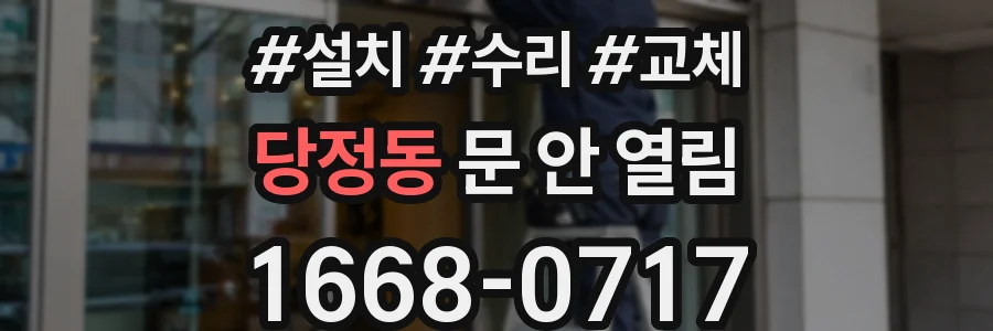당정동 문 안 열림