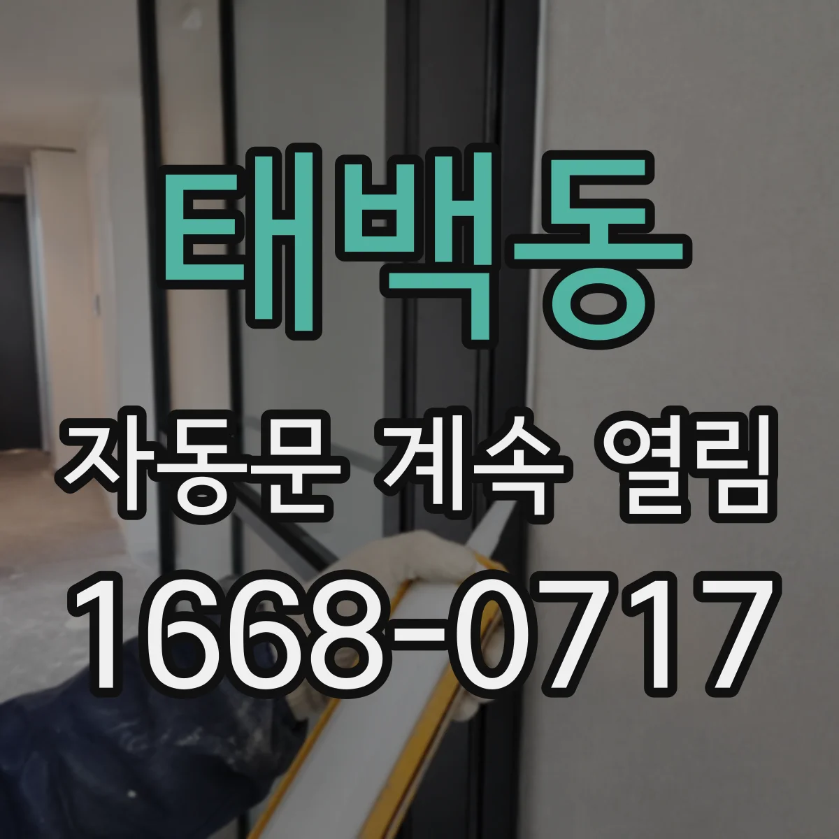 태백동 자동문 계속 열림