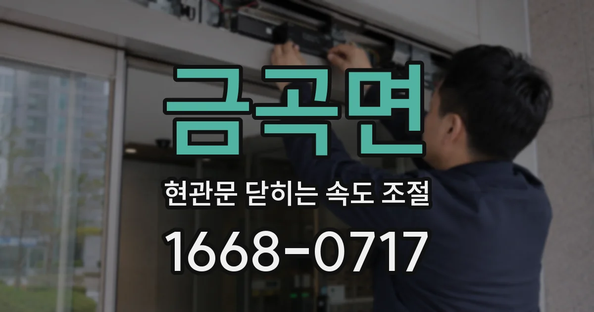 금곡면 현관문 닫히는 속도 조절