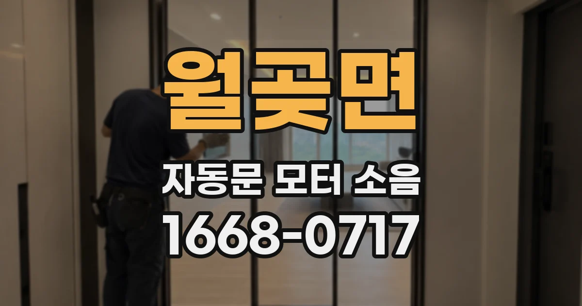 월곶면 자동문 모터 소음