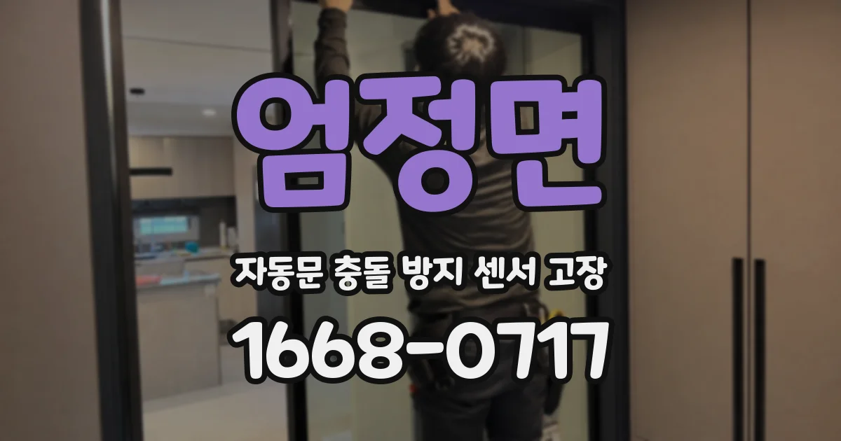 엄정면 자동문 충돌 방지 센서 고장