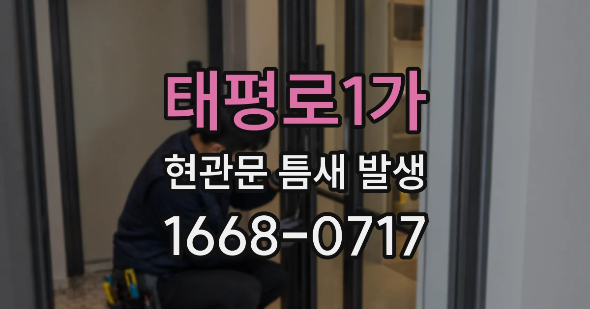 태평로1가 현관문 틈새 발생