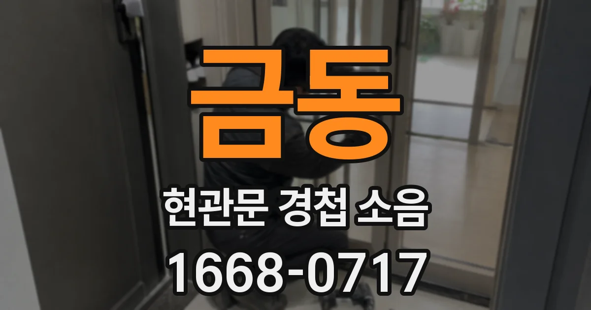 금동 현관문 경첩 소음