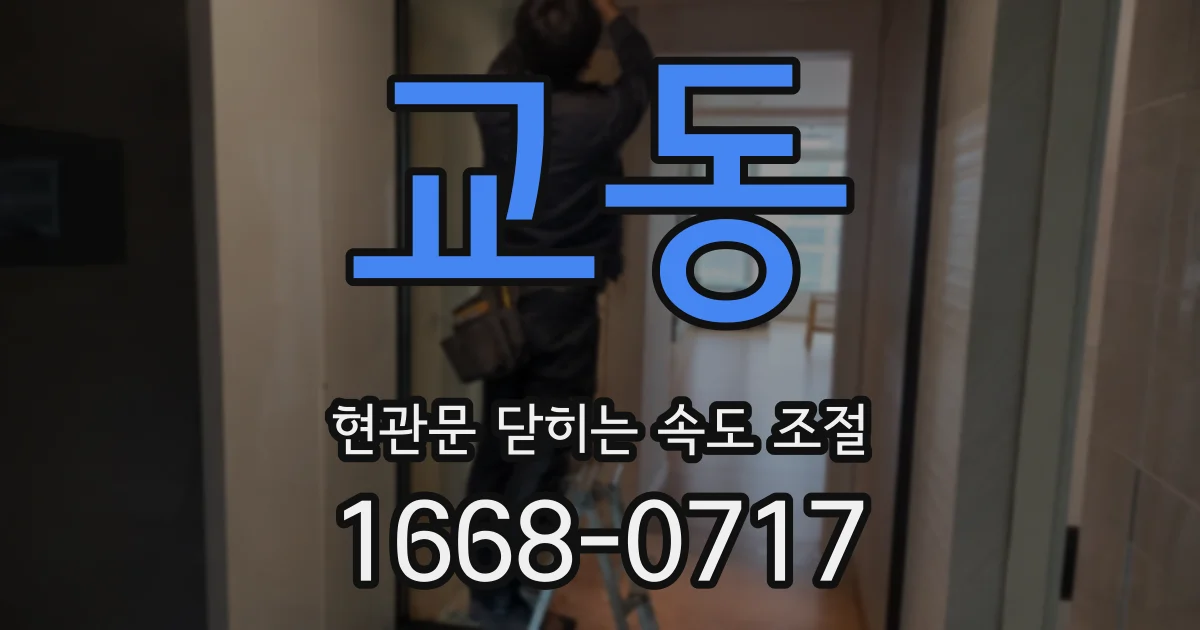 교동 현관문 닫히는 속도 조절