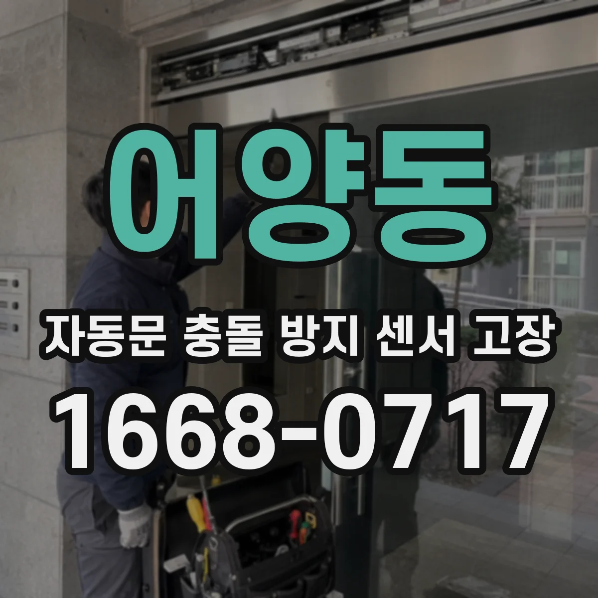 어양동 자동문 충돌 방지 센서 고장