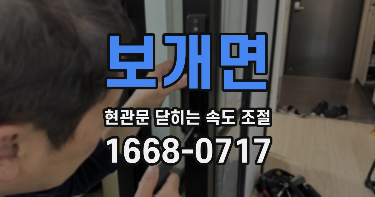 보개면 현관문 닫히는 속도 조절