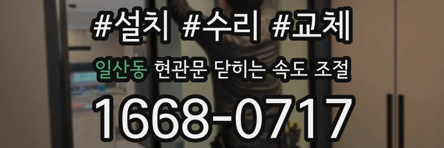 일산동 현관문 닫히는 속도 조절