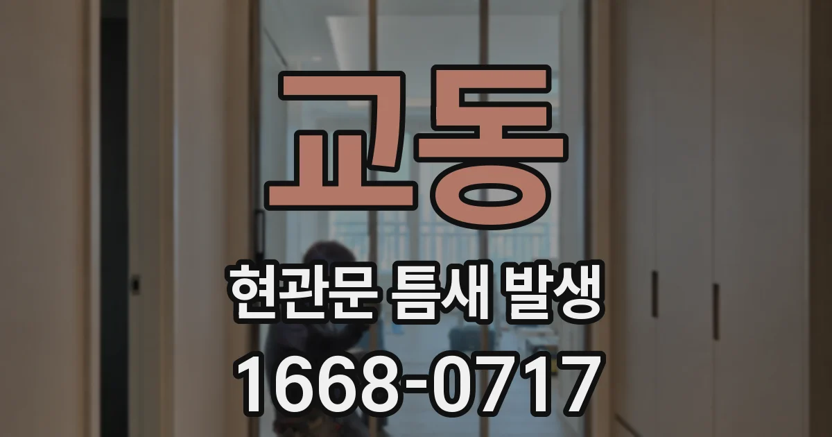 교동 현관문 틈새 발생