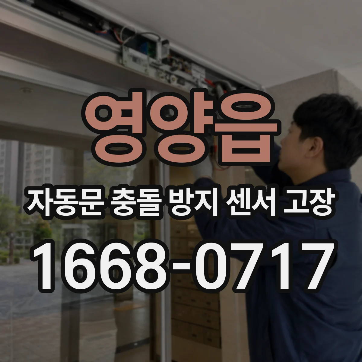 영양읍 자동문 충돌 방지 센서 고장