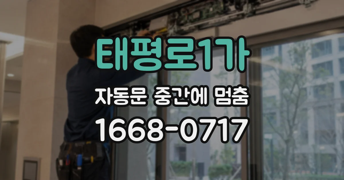태평로1가 자동문 중간에 멈춤