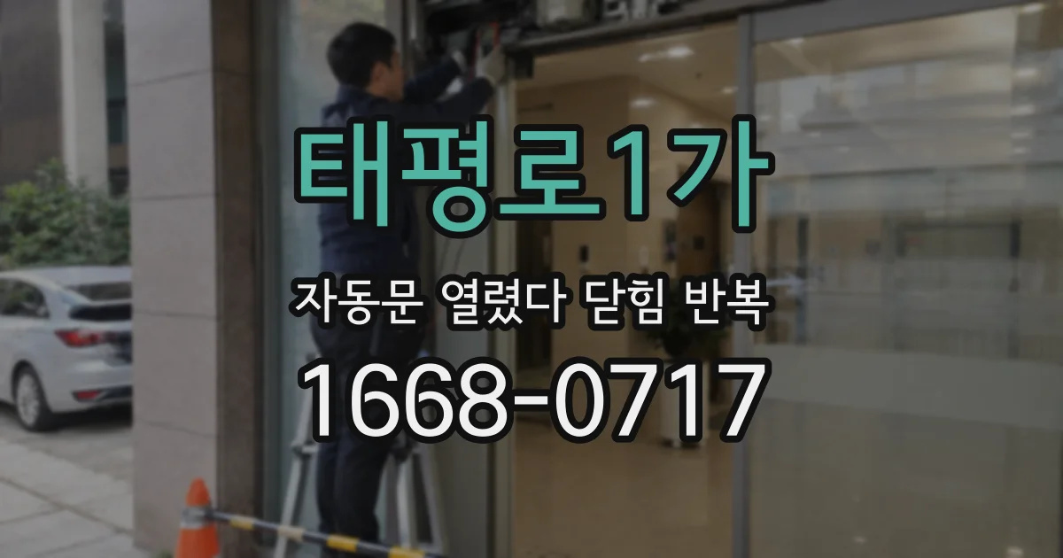 태평로1가 자동문 열렸다 닫힘 반복