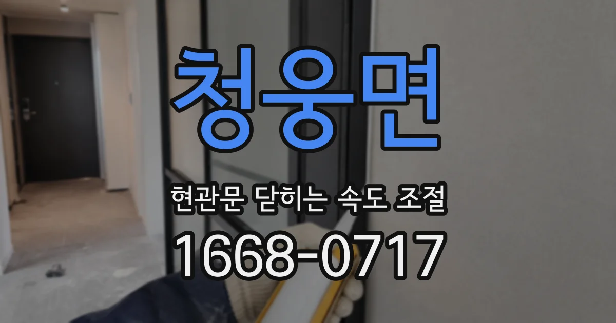 청웅면 현관문 닫히는 속도 조절