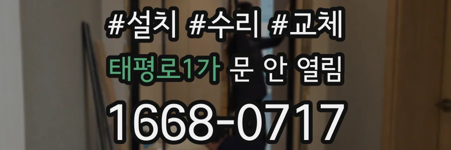 태평로1가 문 안 열림