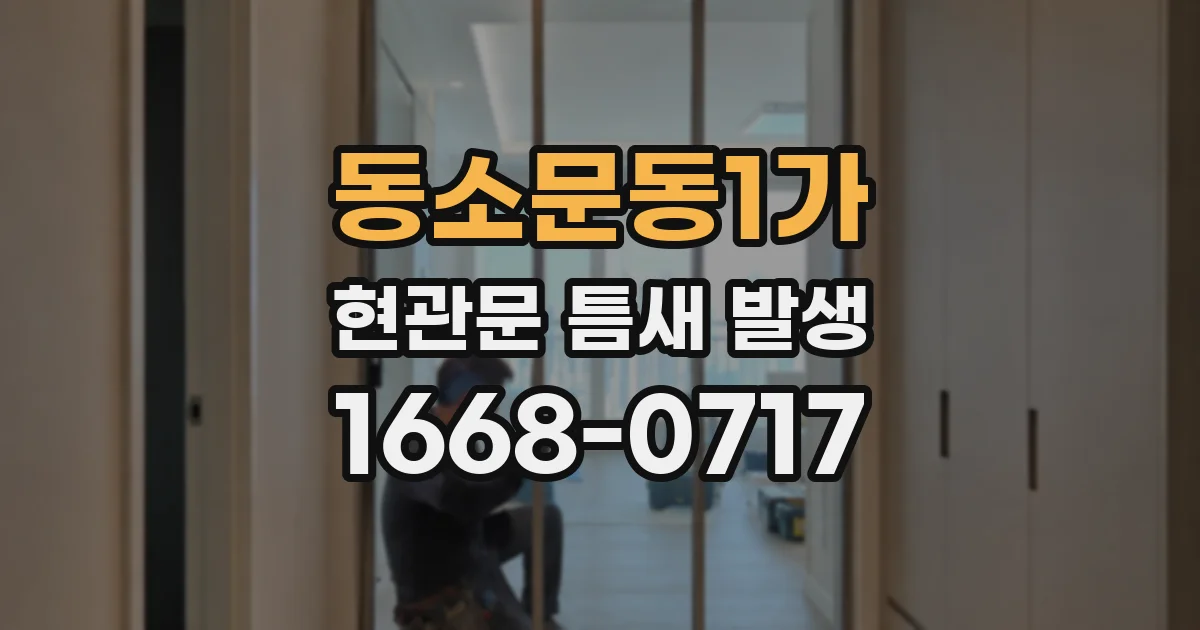 동소문동1가 현관문 틈새 발생