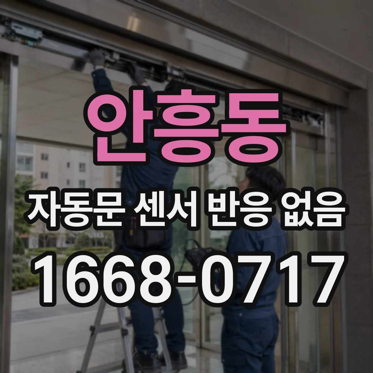 안흥동 자동문 센서 반응 없음