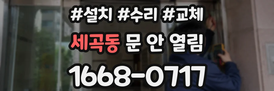 세곡동 문 안 열림