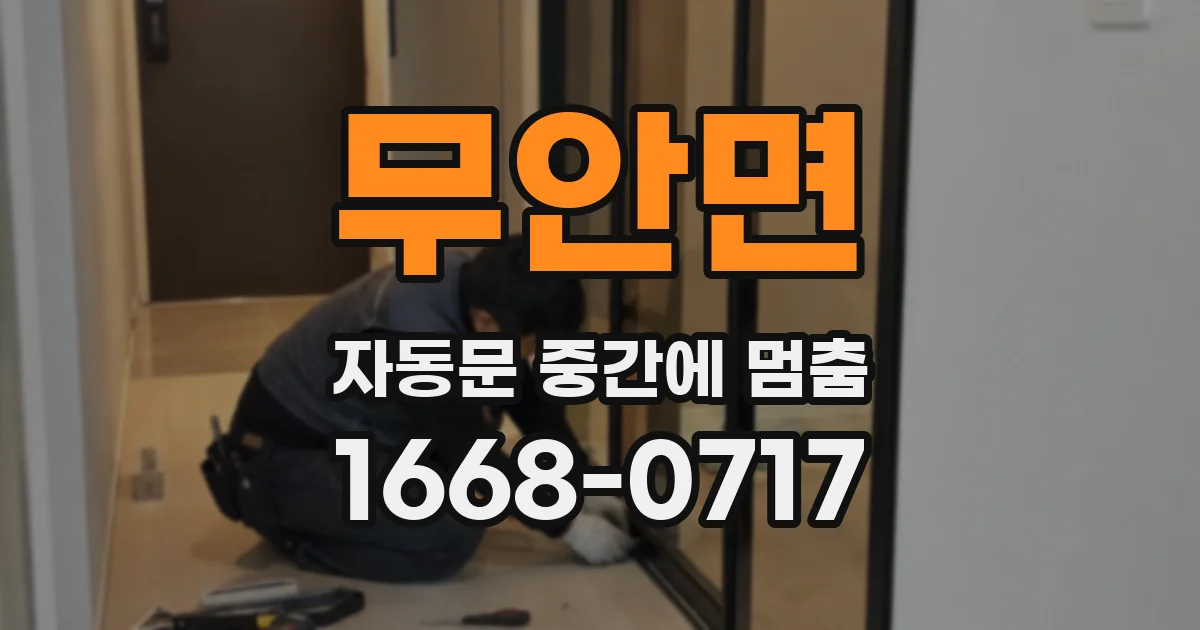 무안면 자동문 중간에 멈춤