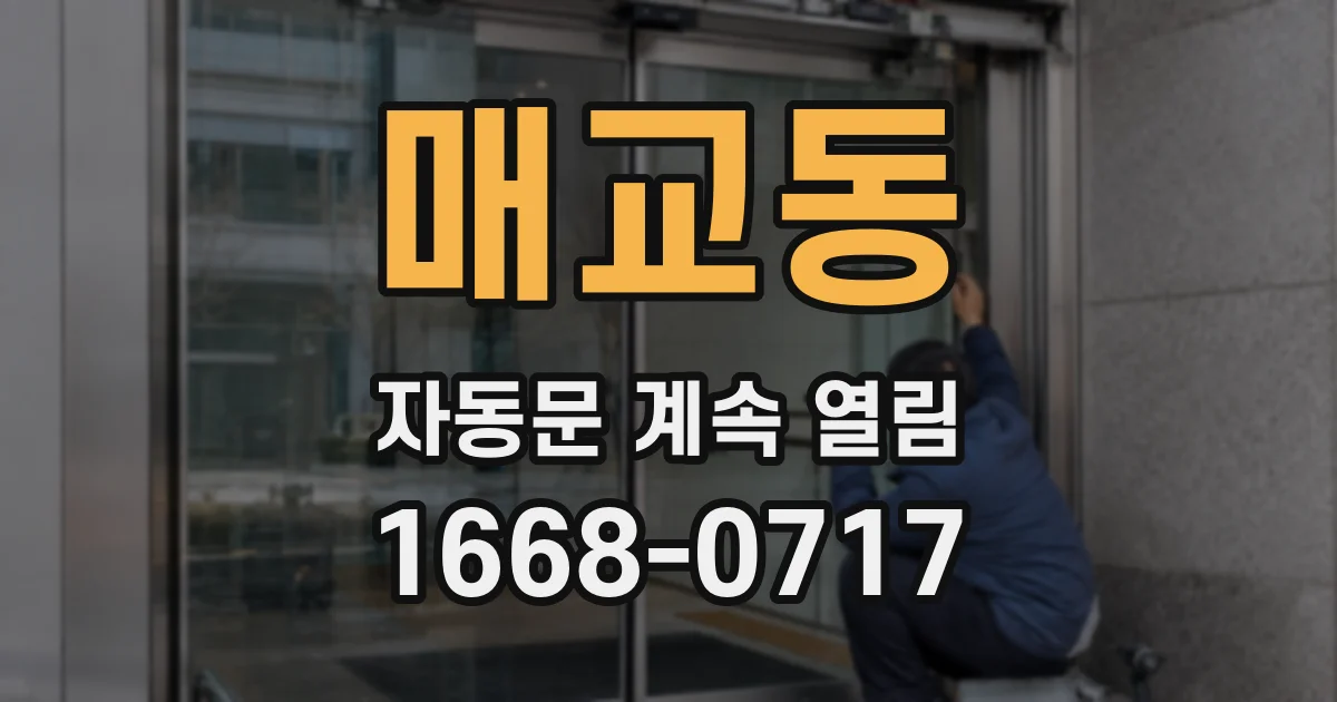 매교동 자동문 계속 열림