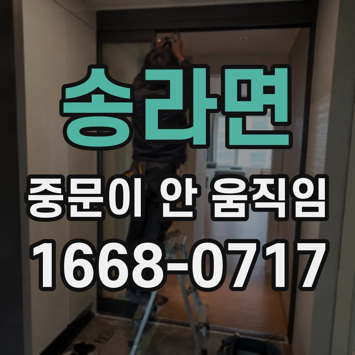 송라면 중문이 안 움직임