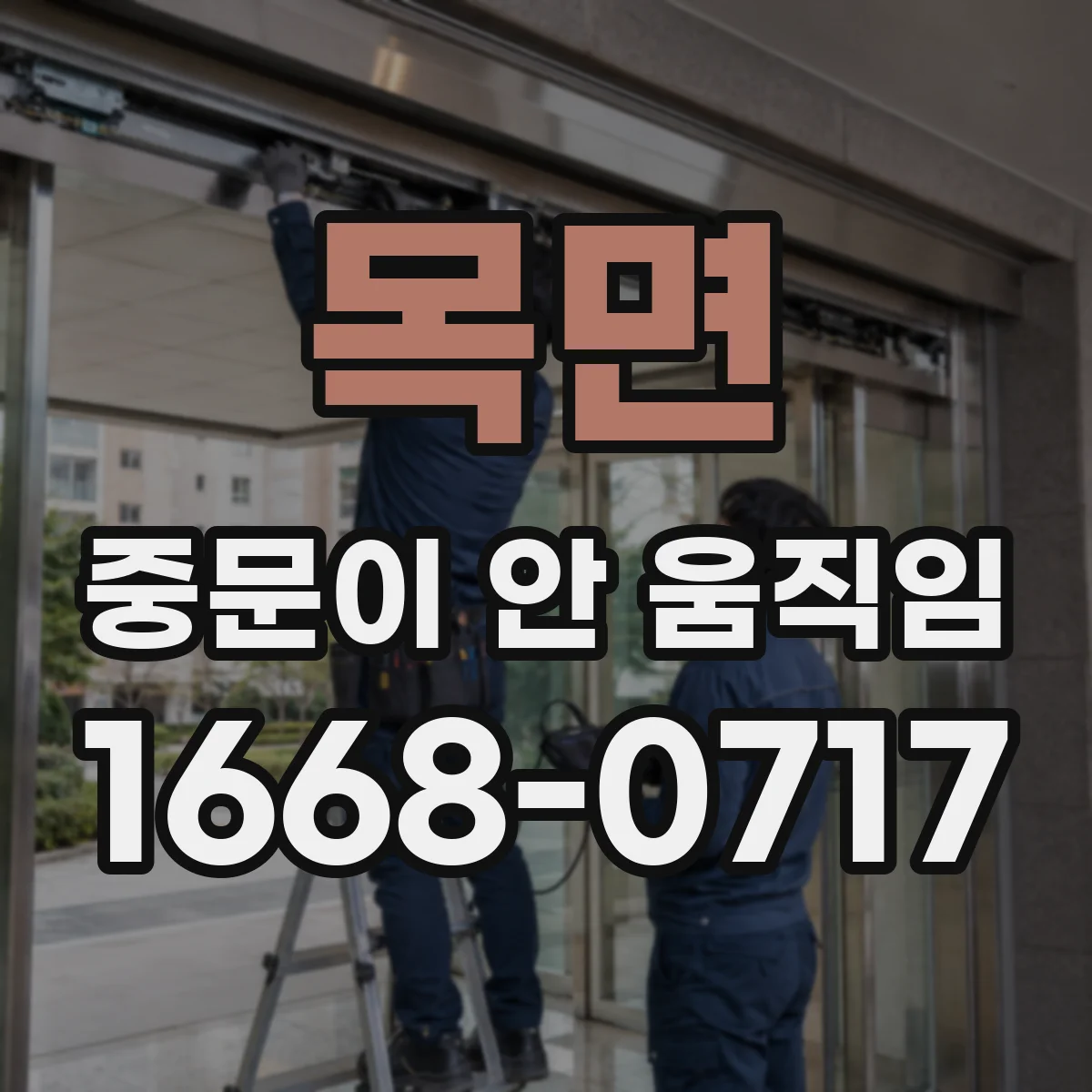 목면 중문이 안 움직임