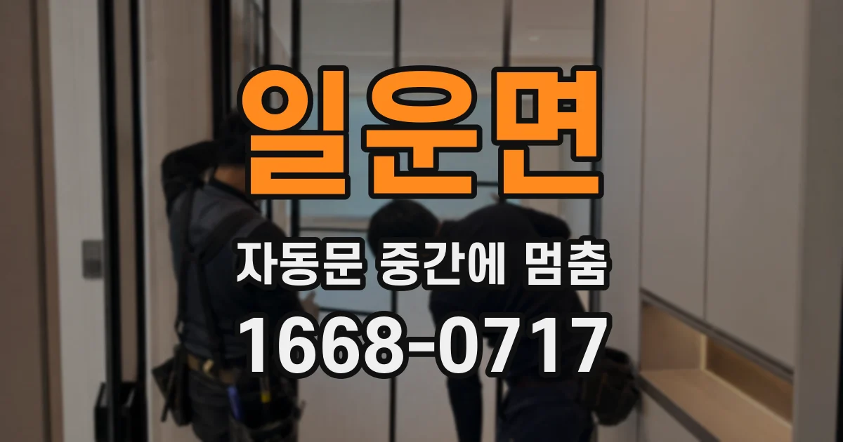 일운면 자동문 중간에 멈춤