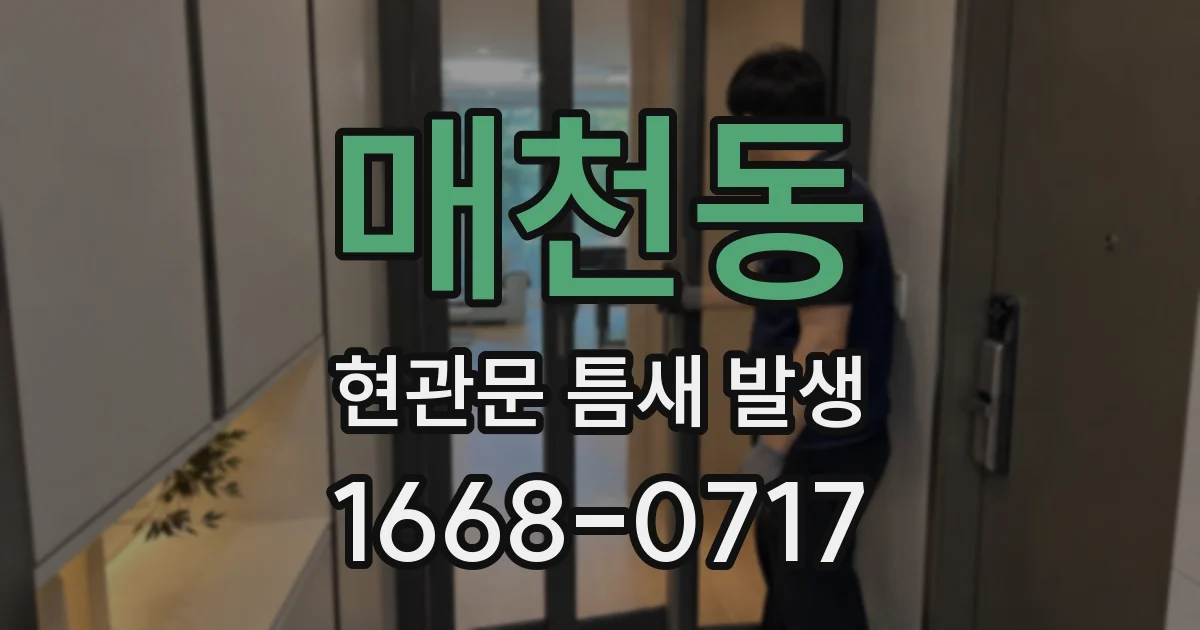매천동 현관문 틈새 발생