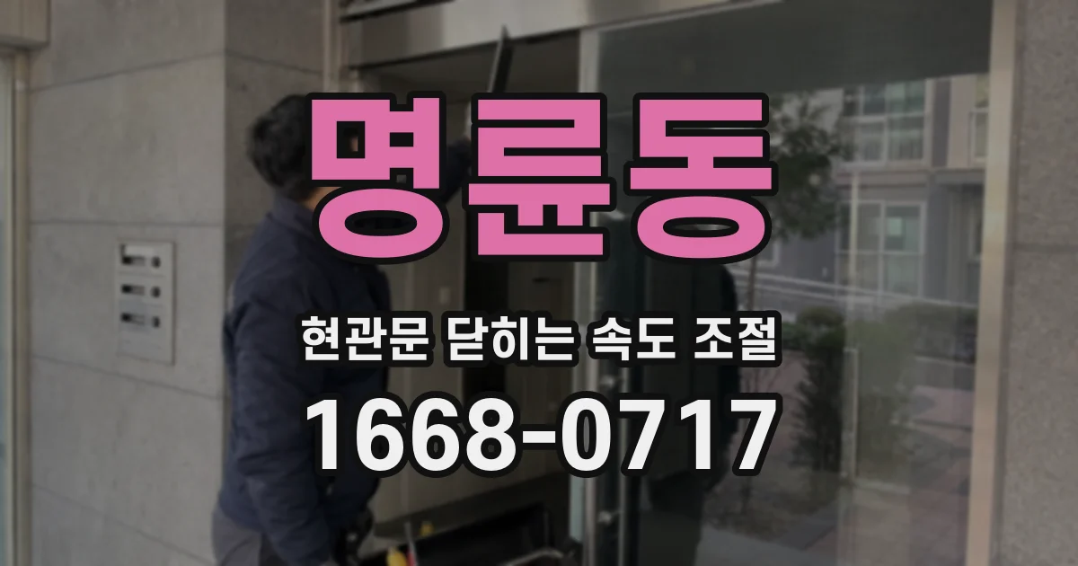 명륜동 현관문 닫히는 속도 조절