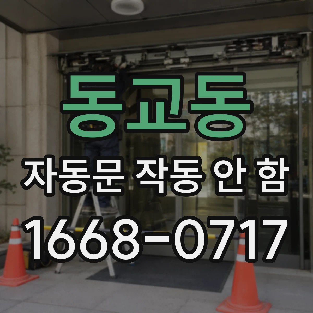 동교동 자동문 작동 안 함