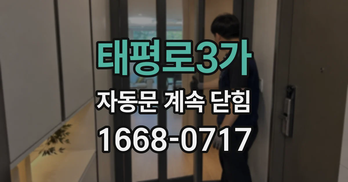 태평로3가 자동문 계속 닫힘