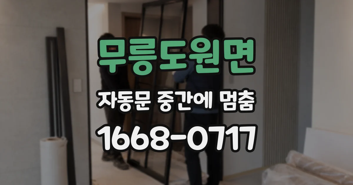 무릉도원면 자동문 중간에 멈춤