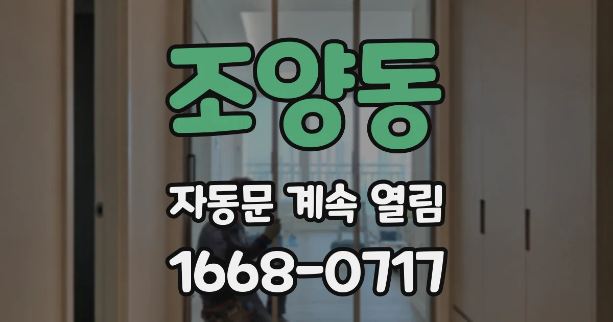 조양동 자동문 계속 열림
