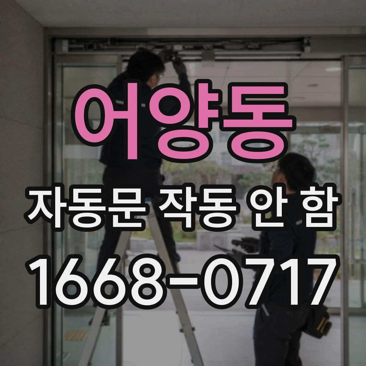 어양동 자동문 작동 안 함