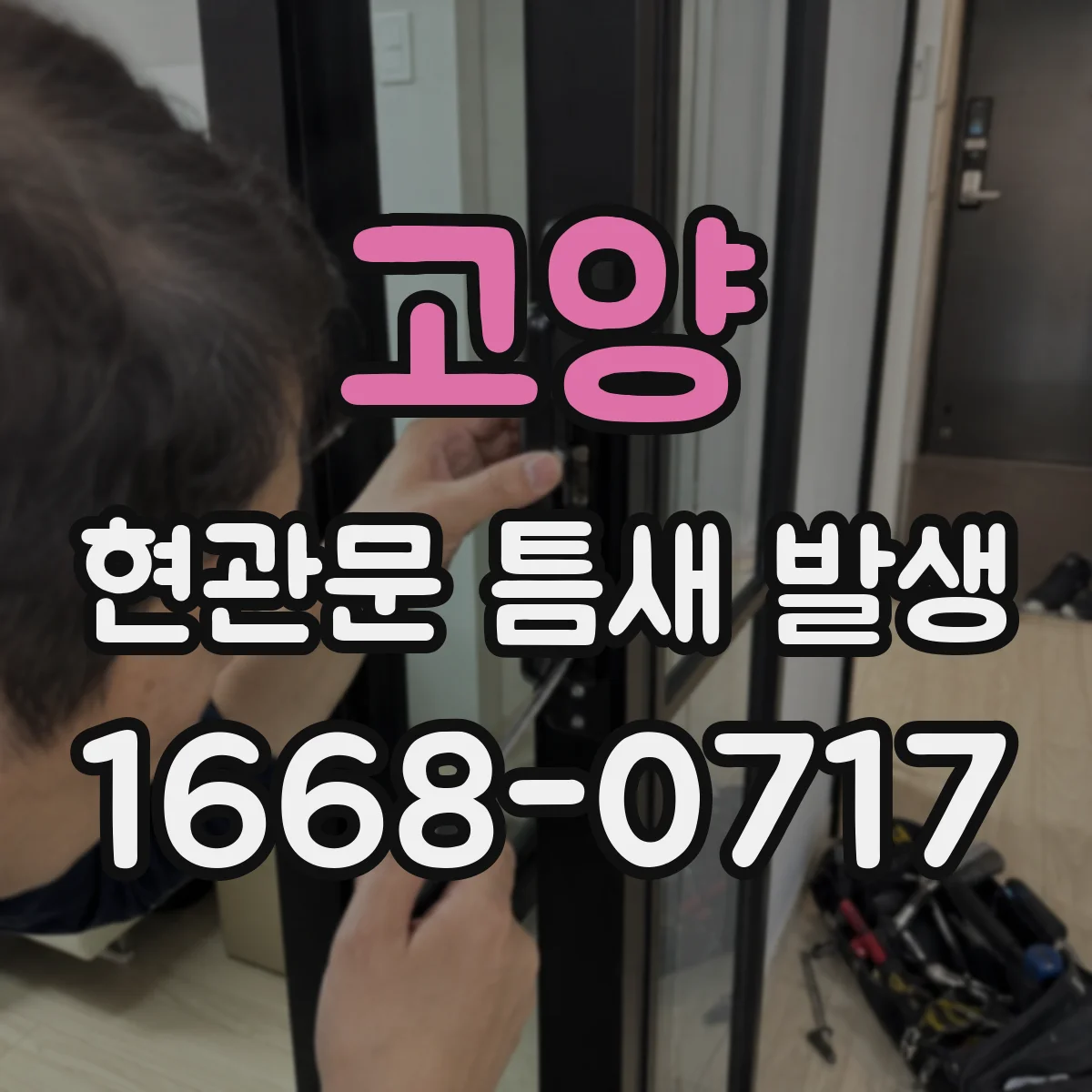 고양 현관문 틈새 발생