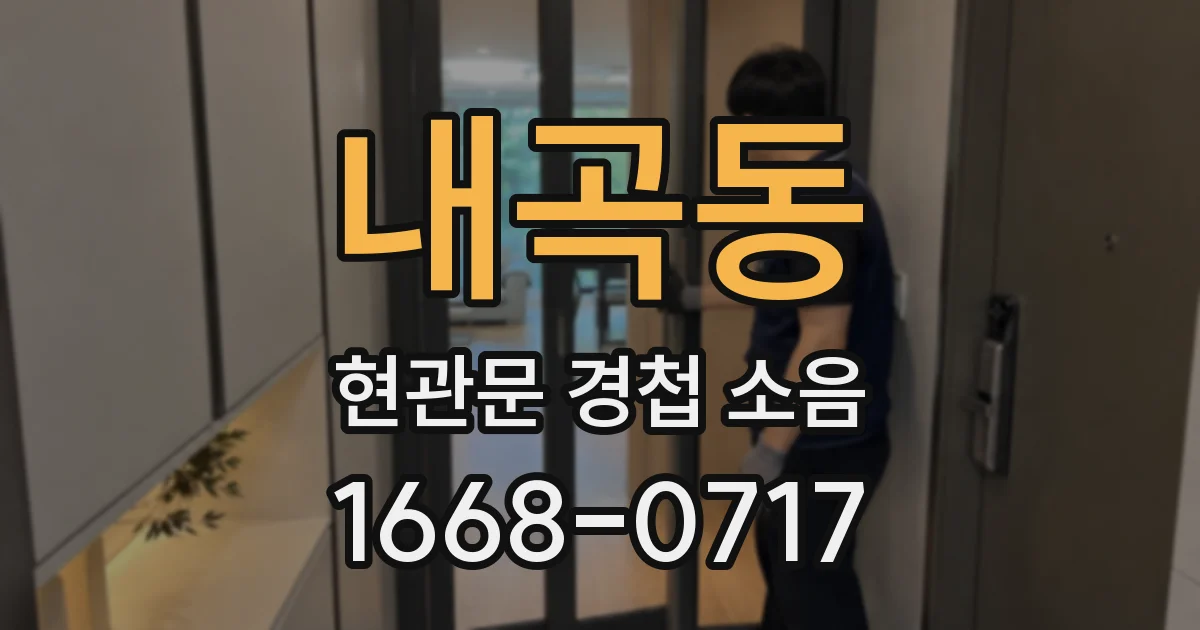내곡동 현관문 경첩 소음