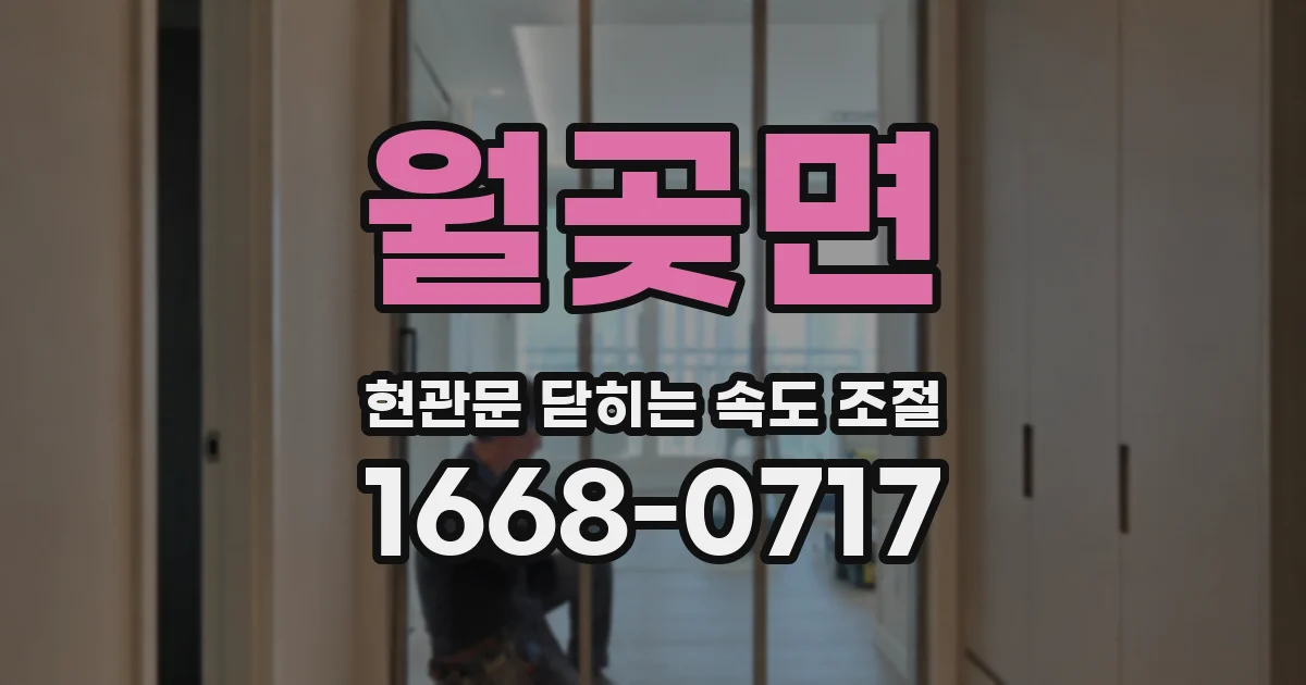 월곶면 현관문 닫히는 속도 조절
