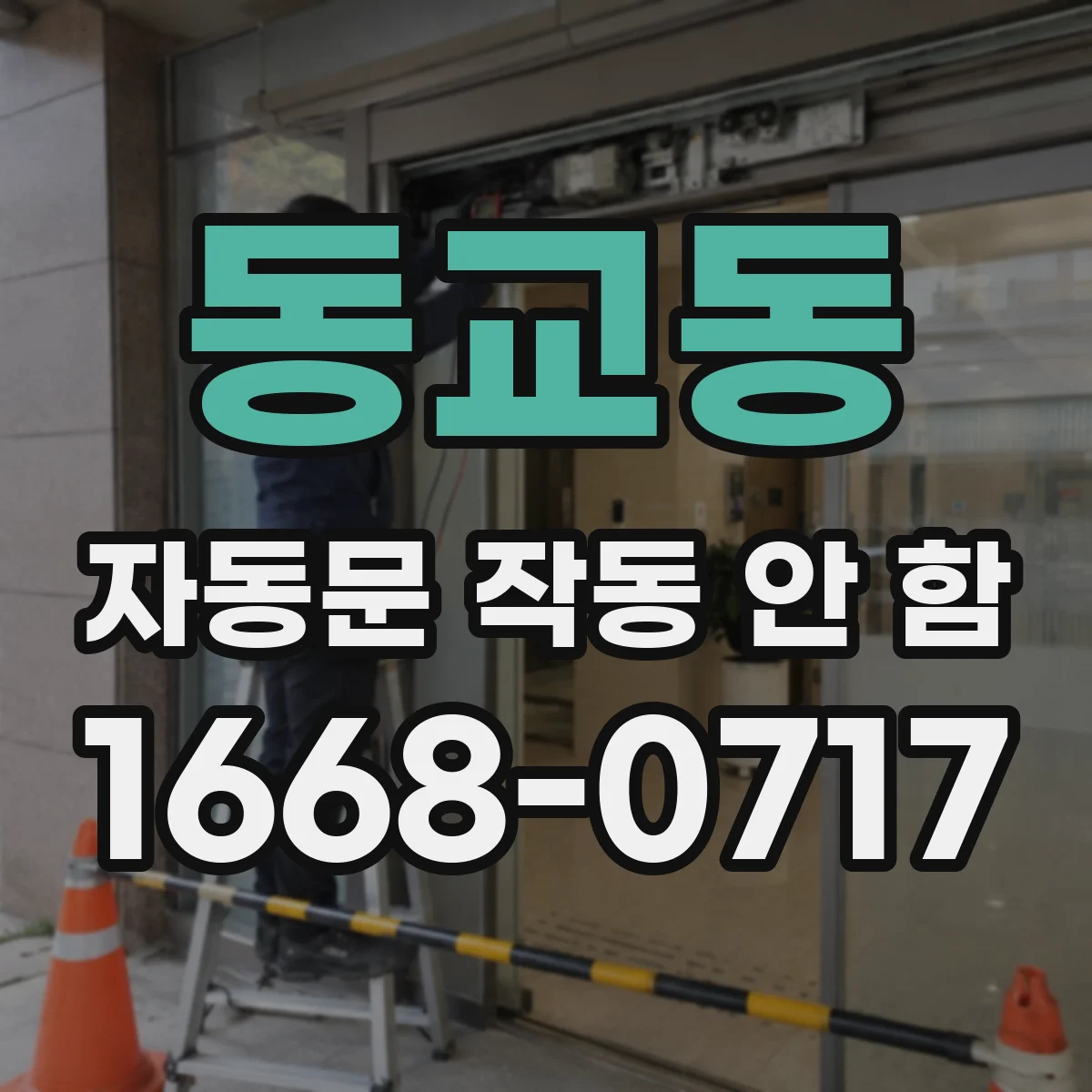 동교동 자동문 작동 안 함