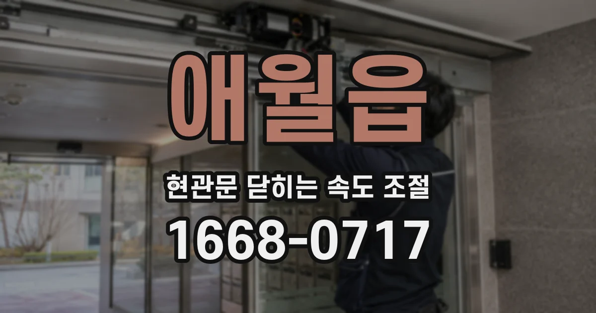 애월읍 현관문 닫히는 속도 조절