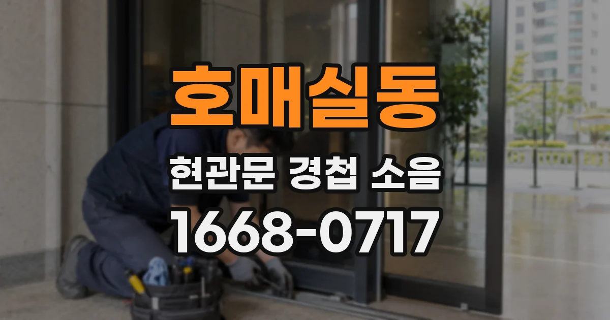 호매실동 현관문 경첩 소음