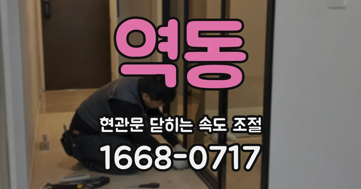 역동 현관문 닫히는 속도 조절