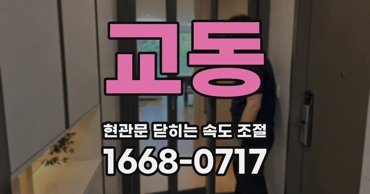 교동 현관문 닫히는 속도 조절