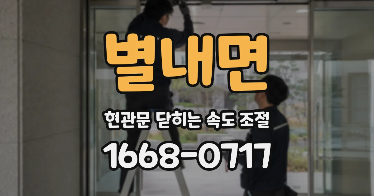 별내면 현관문 닫히는 속도 조절
