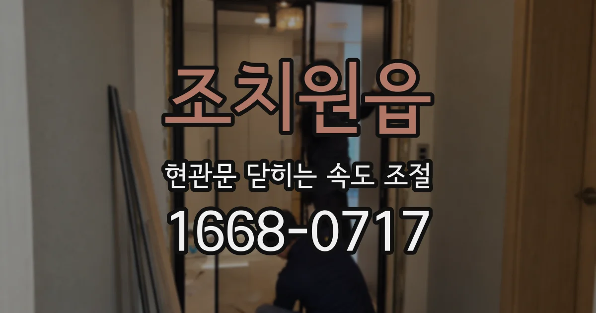 조치원읍 현관문 닫히는 속도 조절