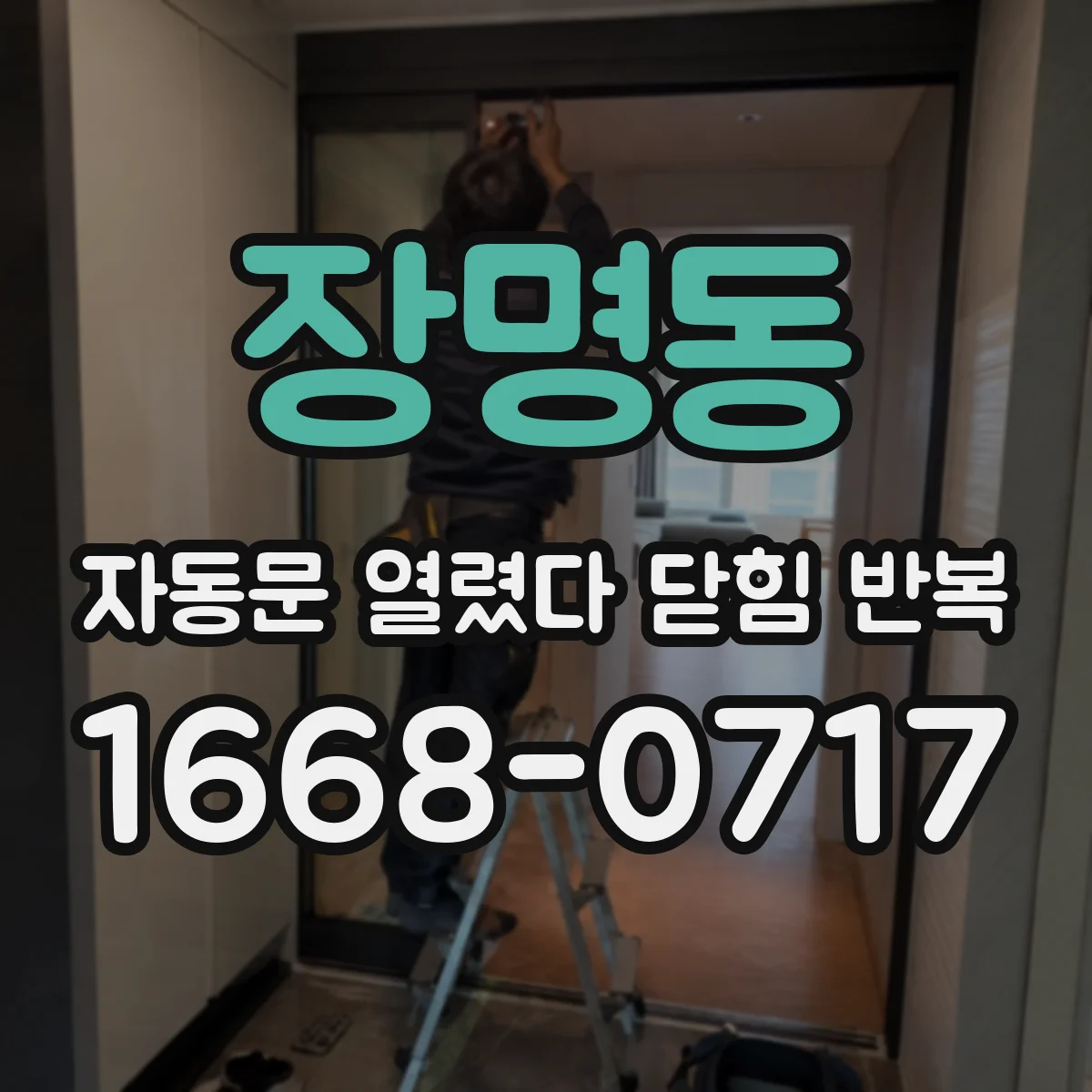 장명동 자동문 열렸다 닫힘 반복