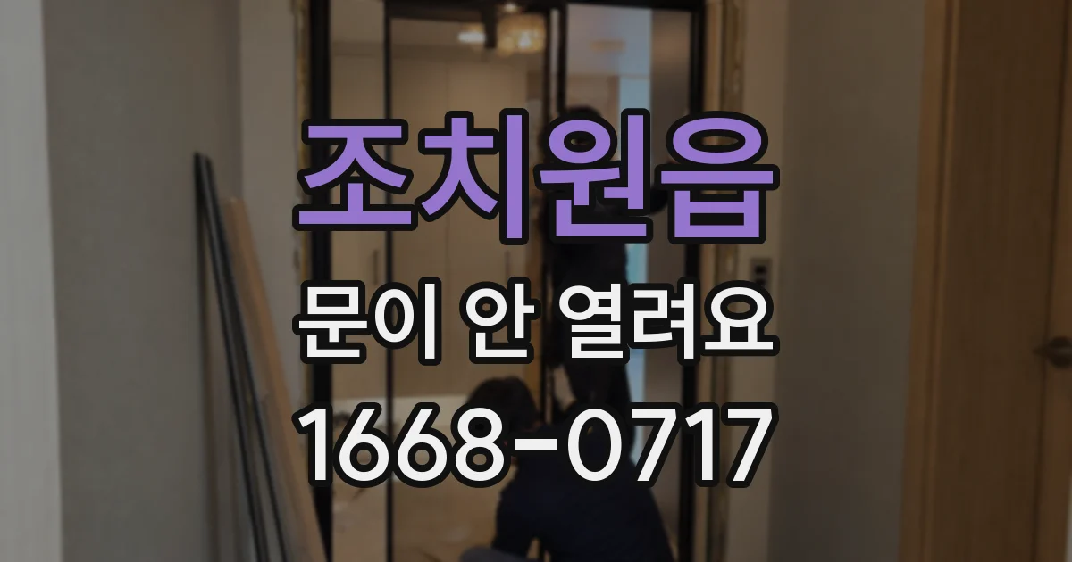 조치원읍 문이 안 열려요