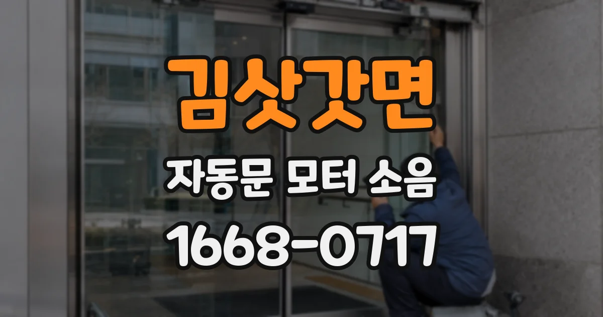 김삿갓면 자동문 모터 소음