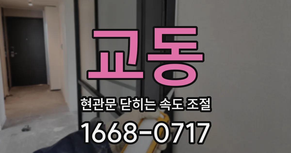 교동 현관문 닫히는 속도 조절